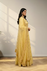 Pastel yellow anarkali